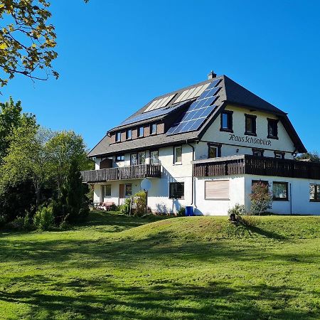 Haus Schonblick Apartman Kniebis Kültér fotó