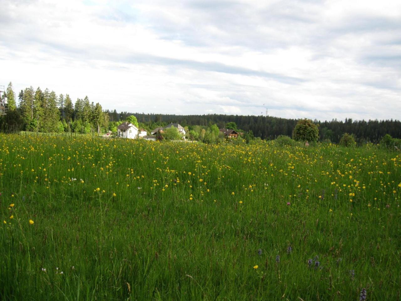 Haus Schoenblick Kniebis Kültér fotó